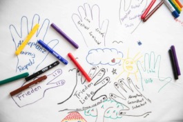 Action for Sustainable Future hub