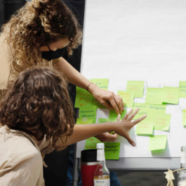 Action for Sustainable Future hub