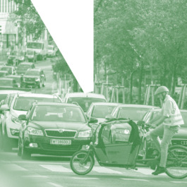 Tobias Steinmaurer/Picturedesk 