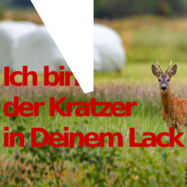 Poster »Wir sind der Verkehr« © Jörg Kilian