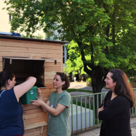 - [ ] https://wurmhotel.com/wp-content/uploads/2023/05/EinzugderWuermer1-c-wormsystems-scaled.jpg