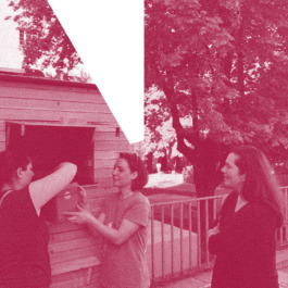 - [ ] https://wurmhotel.com/wp-content/uploads/2023/05/EinzugderWuermer1-c-wormsystems-scaled.jpg 