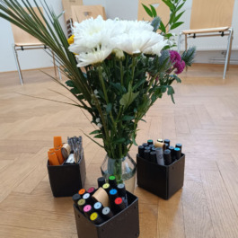 Action for Sustainable Future hub