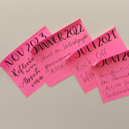 Action for Sustainable Future hub